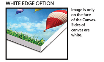 White Edge Option
